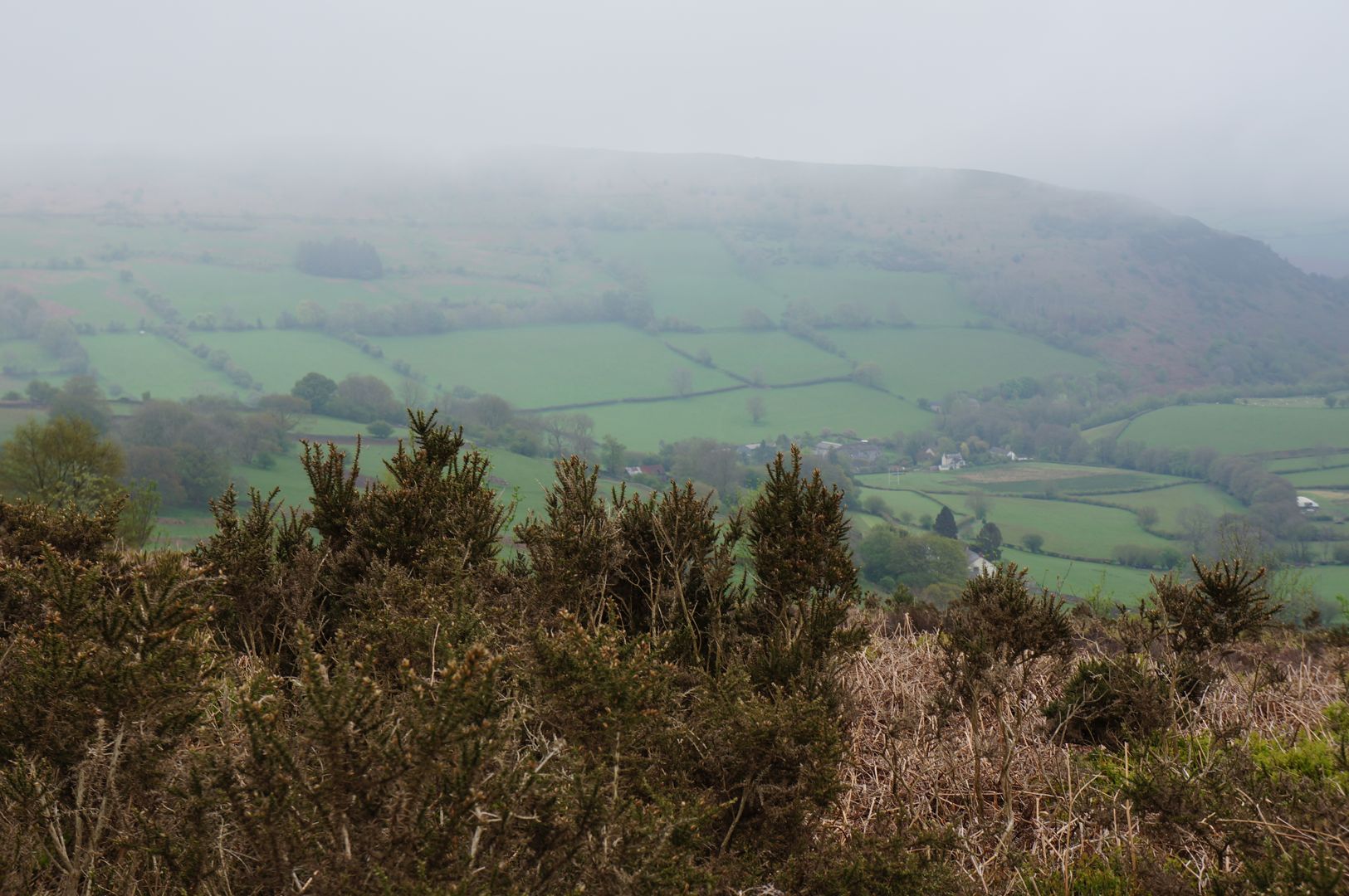 albums/Abergavenny_2024/DSC00341.JPG
